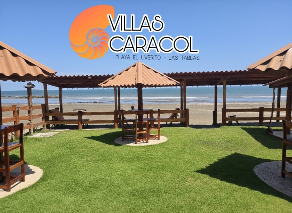 Home picsart 26 02 24 03 22 25 484