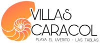 logo villas png